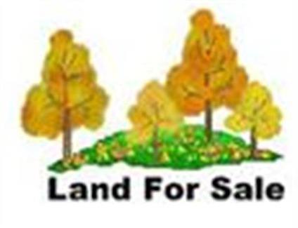 $40,000
Home for sale or real estate at 444 Morgan Road NW Charleston TN 37310 USA