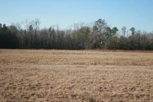 $40,000
Princess Anne, Nice lot with acreage located in a country