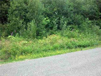 $40,000
Shelton, Nice 1/2 + acre lot with potential Totten Inlet