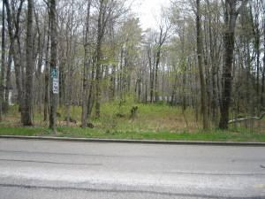 $40,000
Vacant Land Real Estate in Wilson WI