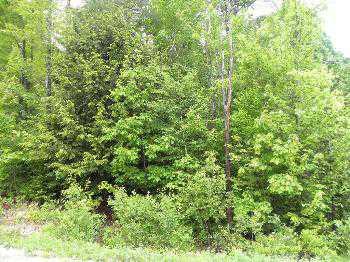 $42,500
Turner, NICE WOODED BUILDABLE LOT ON A QUIET DEAD END ROAD