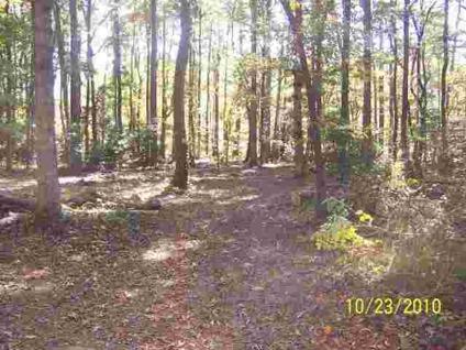 $43,500
Pocomoke City, Beautiful wooded lot located in area of nice