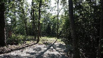 $44,500
Reeds Spring, An almost flat Lakefront lot in a good