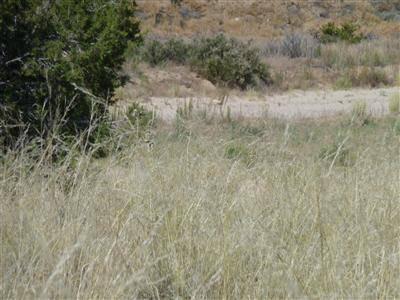 $44,900
Great Property! 1.70 ACRES, Owner will finance with low down payment.