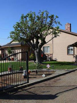 $450,000
Single Family Residence - Riverside, CA