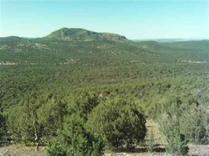 $45,000
47.58 acre property off of historic route 66, between Seligman and Ashfork