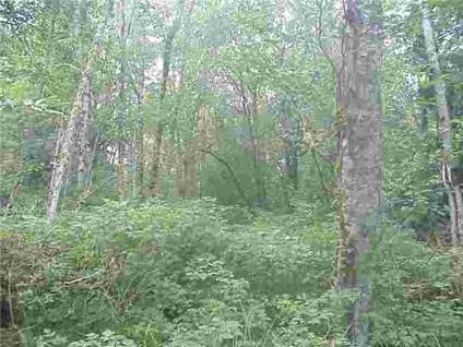 $45,000
5 private level acres at the very end of the road! Acres of privacy and lush