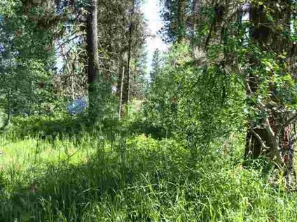 $45,000
Mccall, Gorgeous building lot in city limits. Zoned R-4.