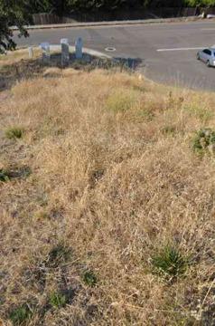 $45,000
Medford, Looking for a great view lot with very little up