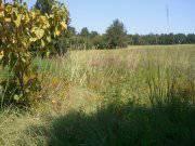 $45,000
Sumrall, Beautiful 5.78 acres available for building your