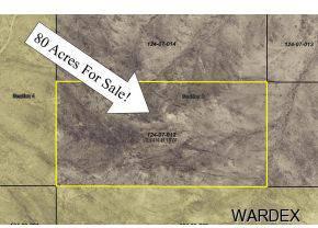 $45,000
Yucca, 80 Acres Raw Land in Area. Only $45,000!