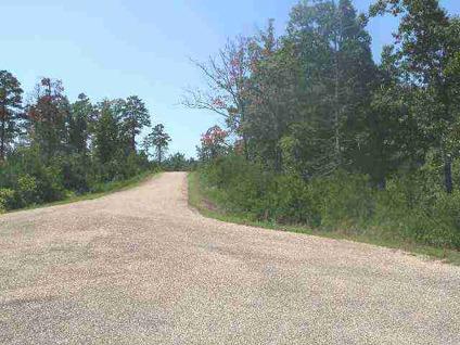 $45,500
7.33 acres m/l in upscale subdivision close to Lake Norfork and Norfork River.