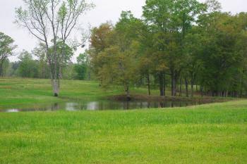 $460,000
Brooklyn 3BR 2BA, Beautiful pasture land with several ponds