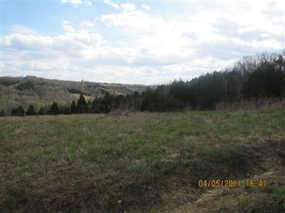 $46,000
Waco, Serene country living... Gorgeous mountain & river
