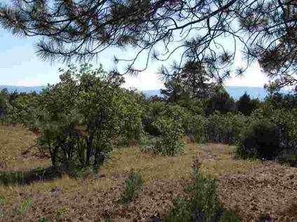 $46,500
Rutheron, Quiet seclusion, tall Ponderosa pines