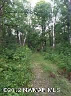 $47,500
Bemidji, 10 wooded acres with driveway and small lot