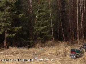 $48,000
Wasilla One BA, Fixer upper Two BR mobile on 1.8 acres w/