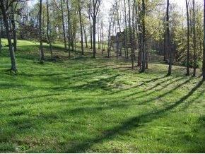 $48,900
Piney Flats, Beautiful wooded 1.09 acre Lot in Allison