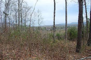 $48,950
Dunlap, Wonderful opportunity to build your dream home on