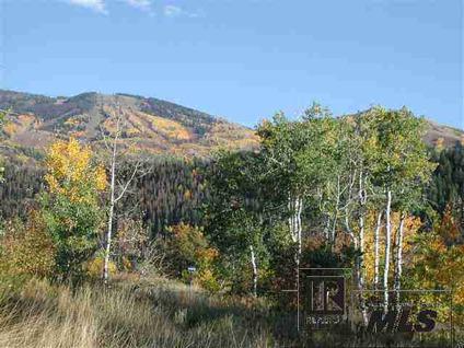 $499,000
$499,000 acreage, Steamboat Springs, CO