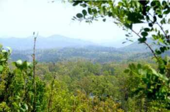 $49,000
Exceptional Southern Views