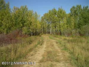 $49,000
Park Rapids, 40 Ac of prime building or hunting land.