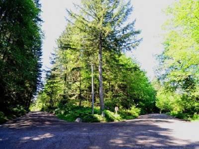 $49,500
5 Acres Wooded Land