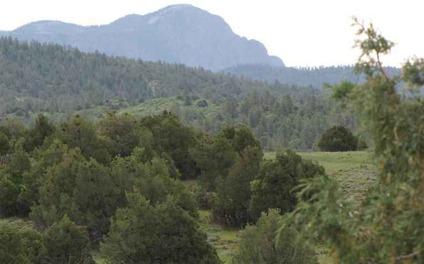 $49,500
Chama, Easy access, power to the lot line, mountain views