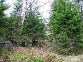 $49,900
5.78 acresDesirable location for a home/camp in the North Country! (7M