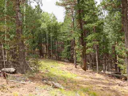 $49,900
Divide, Great wooded lot in the gated covenanted community