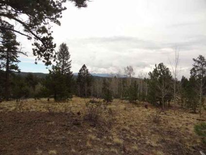 $49,900
Florissant, Beautiful lot with outstanding views of Pikes