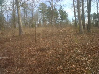 $49,900
Land For Sale 2.3 Acres