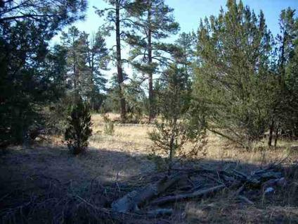 $49,900
Overgaard, This is the heavily timbered acre home site