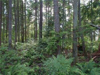 $49,950
Wonderful home site is centrally located in a very private area