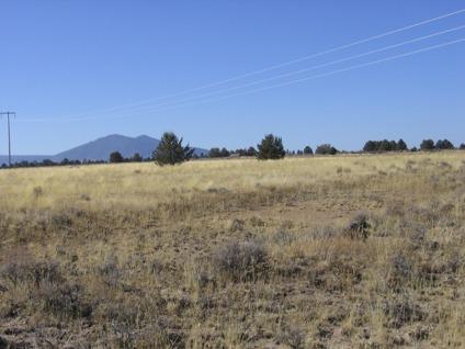 $4,500
1.5 acre residential/mini-farm zoned lot with power and view