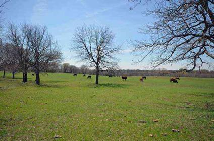 $500,000
Incredible 25 acres with fenced pastures and 2 ponds. 30x50 Barn with electric &