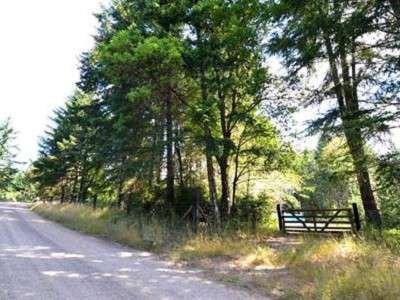 $50,000
5.1 Acres of Partially Cleared Land