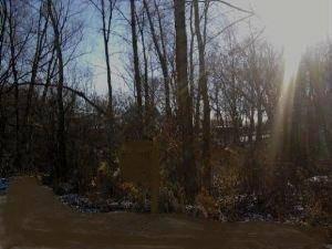 $50,000
Fox Lake, LARGEST LOT IN THE NEIGHBORHOOD. HILLSIDE WITH
