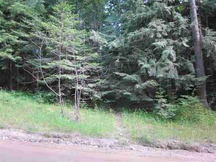 $50,000
Hope, Level and nicely wooded 5 acre parcel on W.