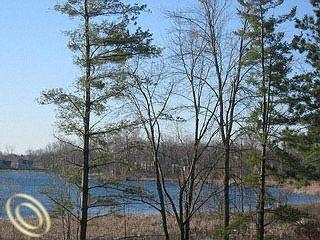 $50,000
Lake Front Vacant Land on All Sports Loon Lake in Linden