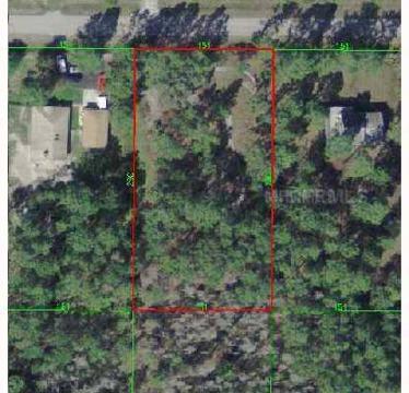 $50,000
Wesley Chapel, Beautiful 1 acre lot, no deed restrictions.