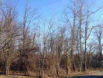 $50,000
You will find this wooded land at the end of a dead end street.