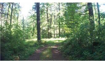 $51,000
3 Lots for Sale - River Frontage - Vail Cut