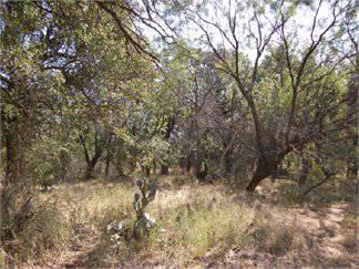 $549,500
245.049000 acres of land for sale in Brady, Texas, United States
