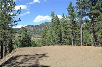 $54,000
10 acre Buckhorn Building Site