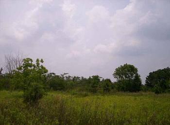 $54,000
Foley, Beautiful home site on out skirts of . 250 x 615 +/-
