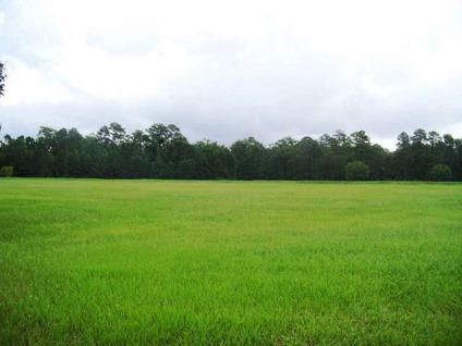 $54,500
Havelock, One acre cleared lot located in this beautiful