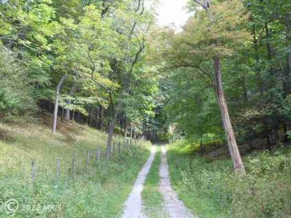 $54,900
Moyers, 10 +/- Wooded Hunting acres, older camper on