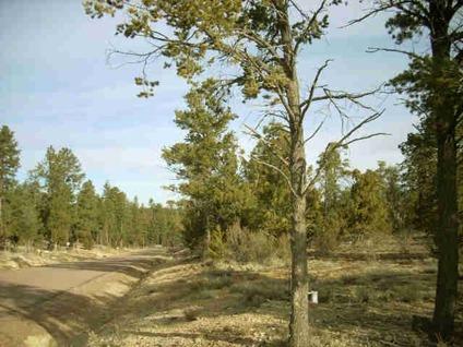 $55,000
Heber, Nicely treed 0.79 acre home site in a subdivision of