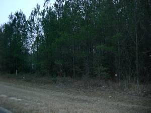 $55,000
Jesup, Very nice property featuring good road frontage.